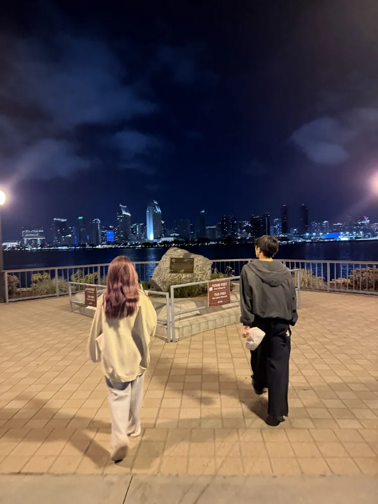 Two friends walking toward a city skyline at night