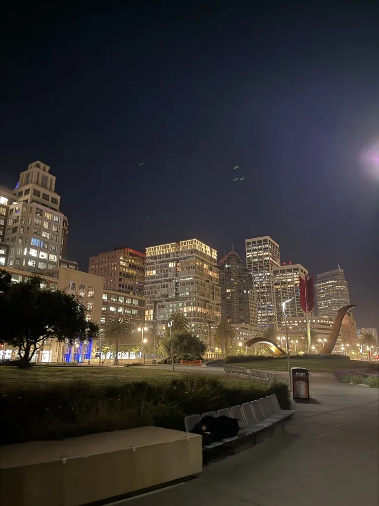 Downtown towers at night from a waterfront park