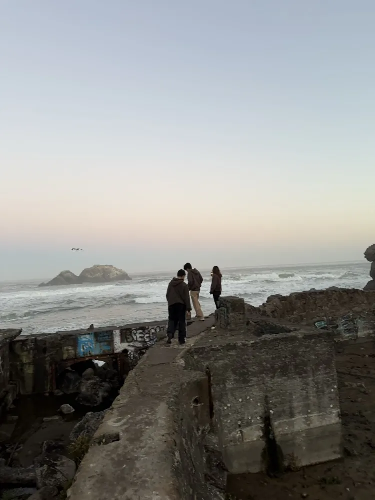 Friends on coastal rocks at dusk