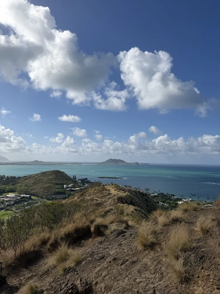 Coastline and islands seen from a hilltop