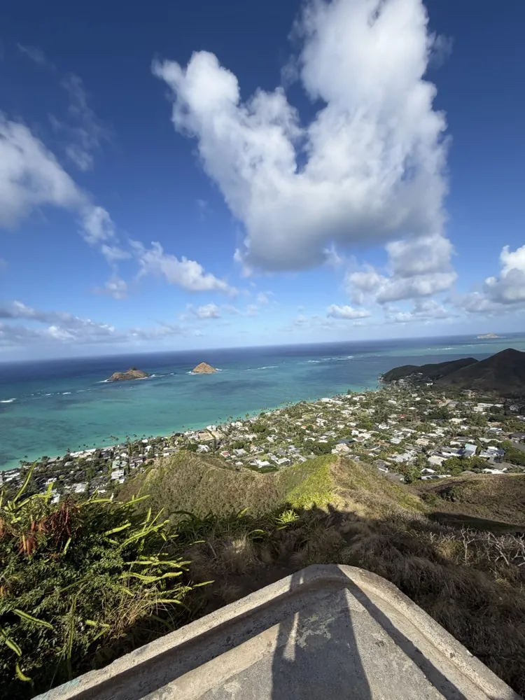 View over the ocean and a beach town from a hilltop