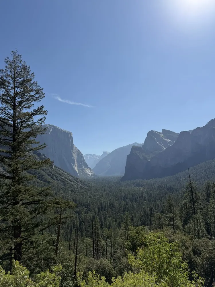 Looking down Yosemite Valley