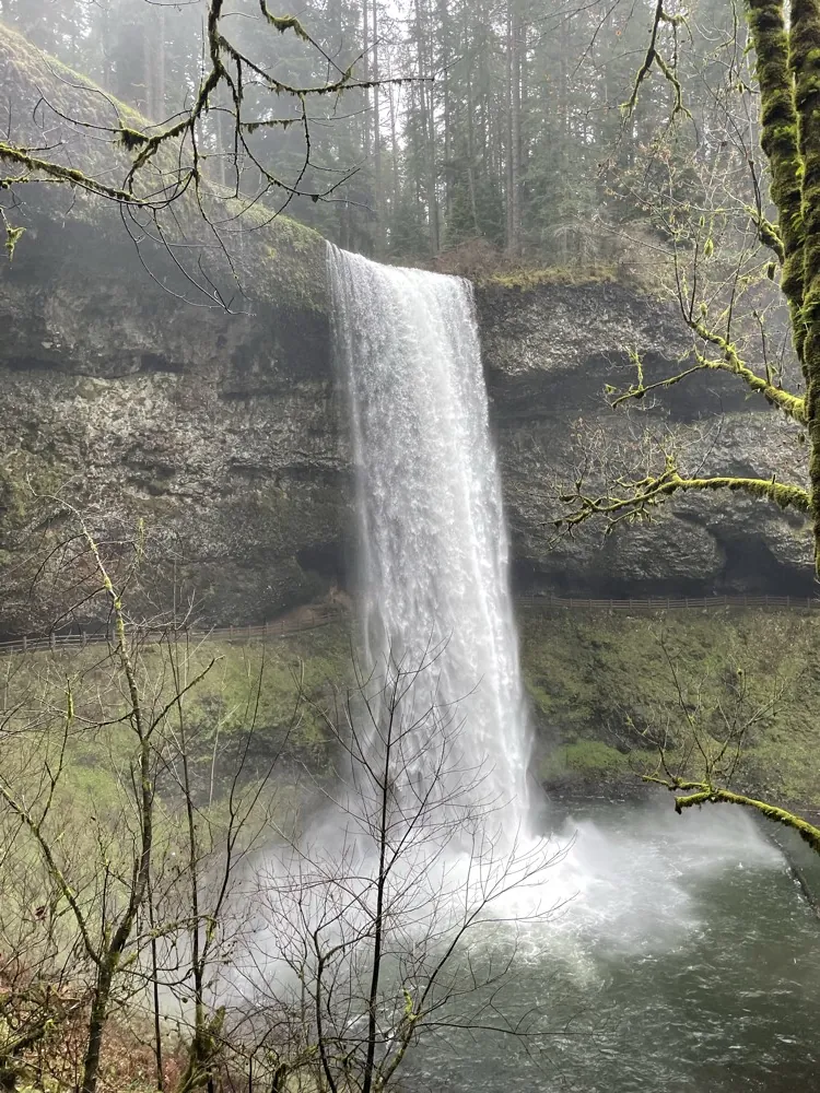 A tall waterfall in a mossy forest